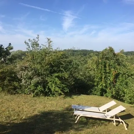 度假居 Vakantiewoning Zandhof